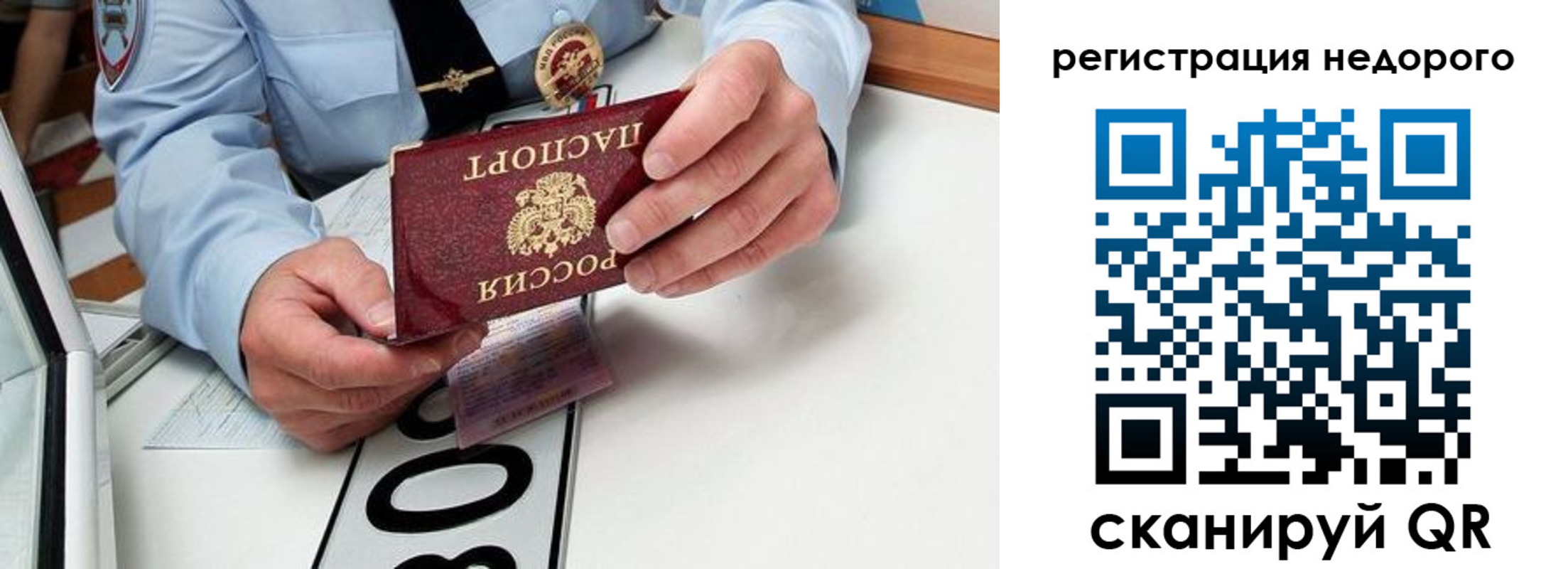 прописка ребенка в Луге